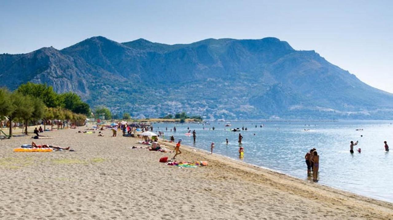 Beach Apartments "Bili Cvitak" Duće 외부 사진